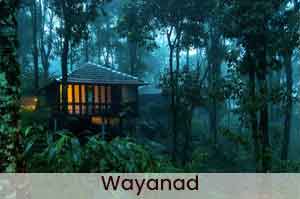 wayanad